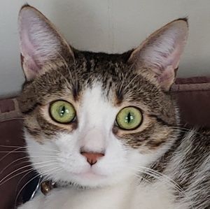 Meet your Posher, Kevin